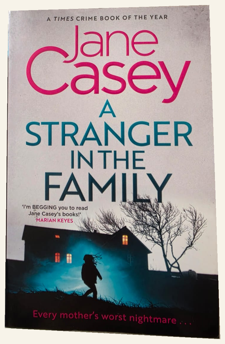 A Stranger in the Family by Jane Casey front cover