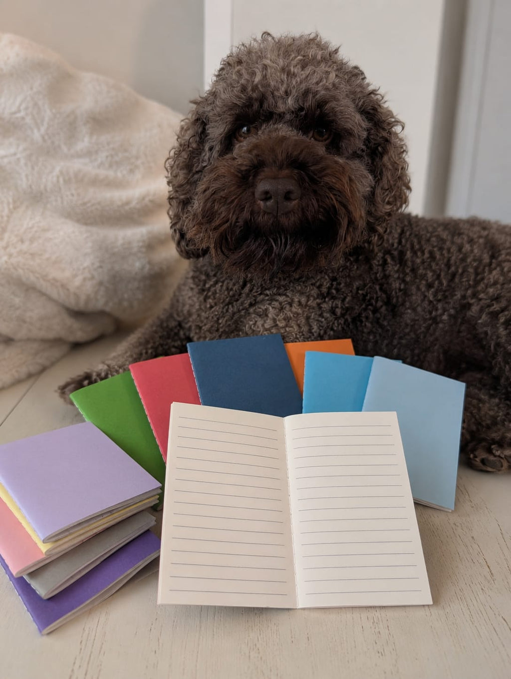 Pocket Notebooks — Set of 3