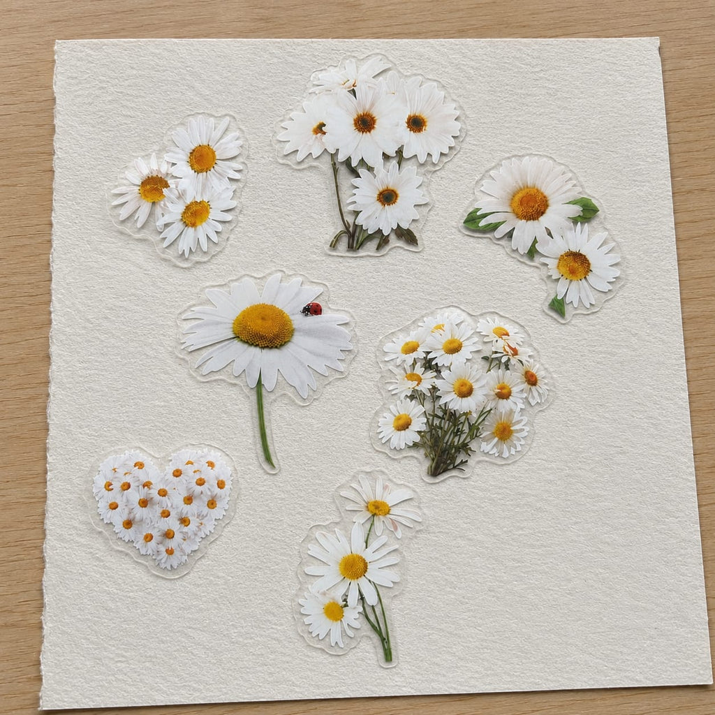 Daisy Sticker Pack — Set of 2