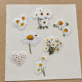 Daisy Sticker Pack — Set of 2