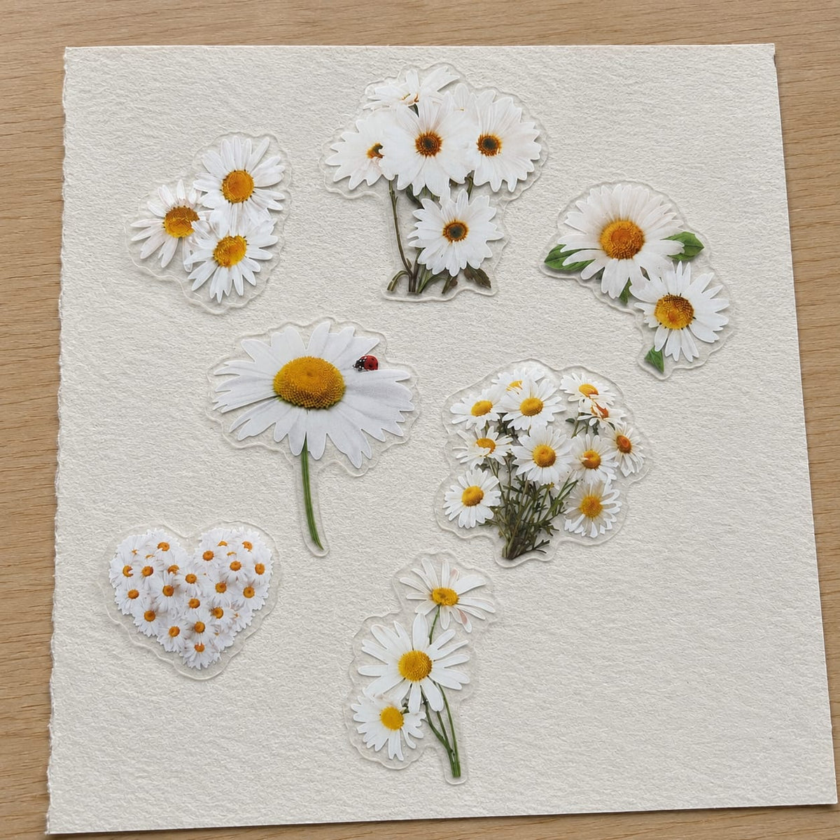 Daisy Sticker Pack — Set of 2