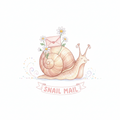 Daisy Mae Snail Mail Club – Monthly Penpal Letter Subscription | Snail Mail Gift