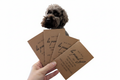 Dog with Motivational Cards - Clean Background